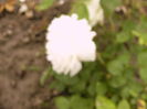 P1260830