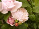 P1260846