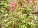 P1260855