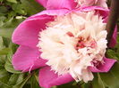 P1260884