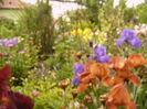 P1270003