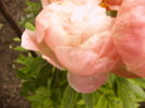 P1270021