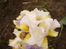 P1270028