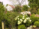P1270052