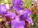 P1270057