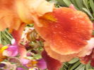 P1270076