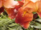 P1270077
