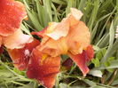 P1270078