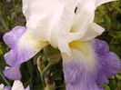 P1270081