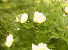 P1270086