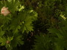 P1270096