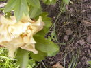 P1270100