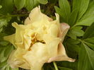 P1270102