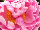 P1270121