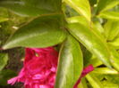 P1270153