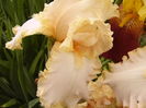 P1270156