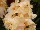 P1270157