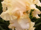 P1270158