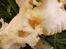 P1270161