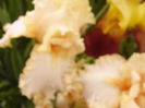 P1270162