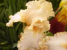 P1270164