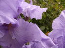 P1270169