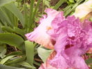 P1270175