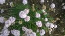 WP_20150528_09_35_43_Pro