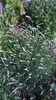 WP_20150606_09_43_58_Pro