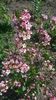 WP_20150606_10_05_48_Pro