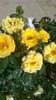 WP_20150606_10_07_16_Pro