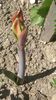 WP_20150609_10_08_14_Pro