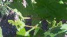 WP_20150609_10_08_29_Pro