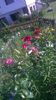 WP_20150708_08_33_12_Pro