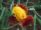 DSC06834