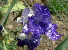 DSC06764