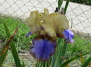 DSC06865