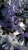 WP_20160502_11_23_36_Pro