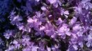 WP_20160502_11_23_40_Pro