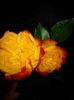 received_1084788644975661