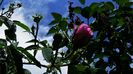 DSC02099