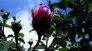 DSC02101