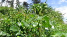 DSC02123