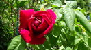 DSC02130