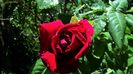 DSC02131