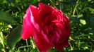 DSC02202