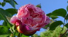 DSC02204