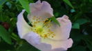 DSC02214