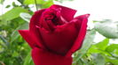 DSC02243