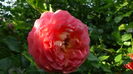 DSC02275